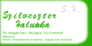 szilveszter halupka business card